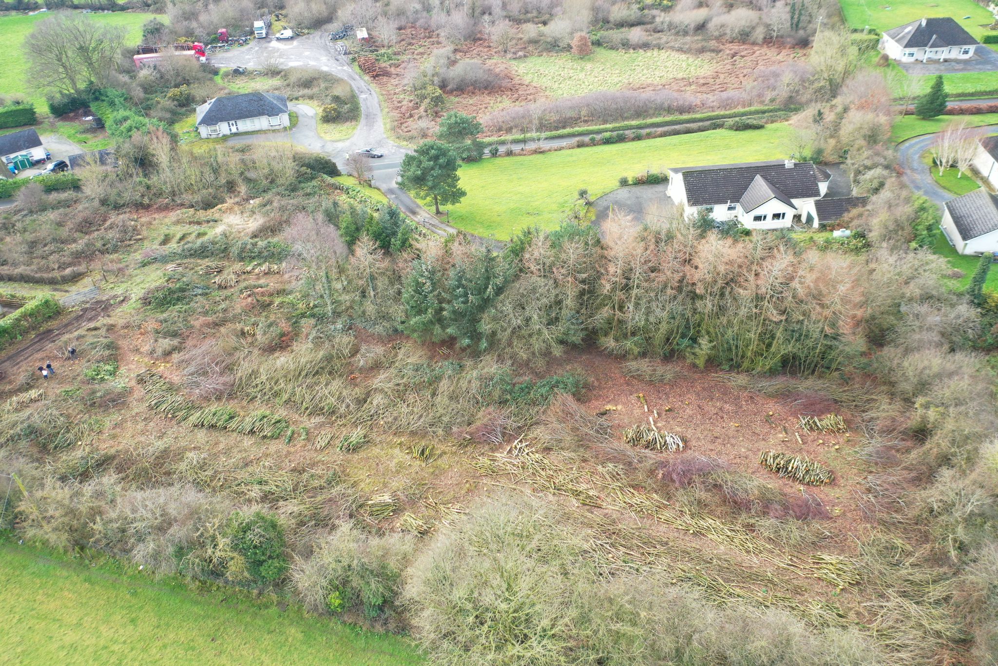 Tree Removal